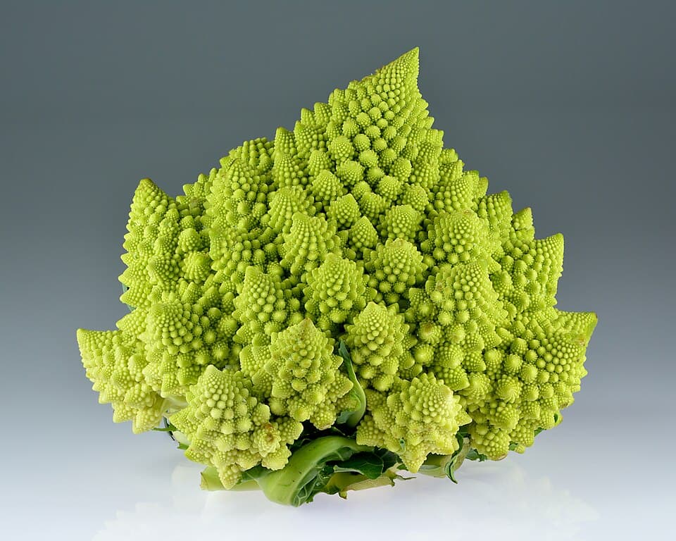Foto de Brocco Poppers