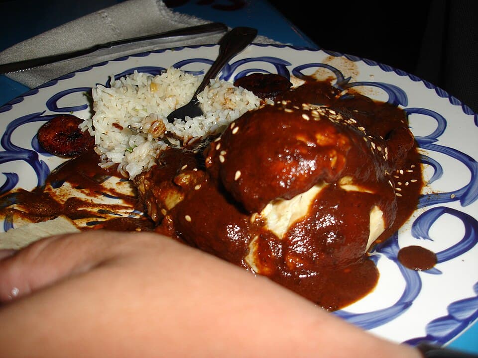Foto de Pollo Mole Sano